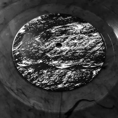 Docetism - Potential Natural Vegetation (12", Ltd, Smo)
