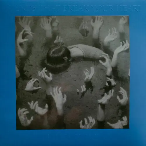 James Blake - Friends That Break Your Heart (LP, Album)