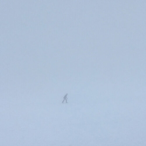 album-art