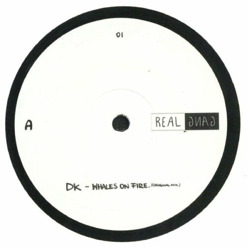 Various - RGRX 001 (12")