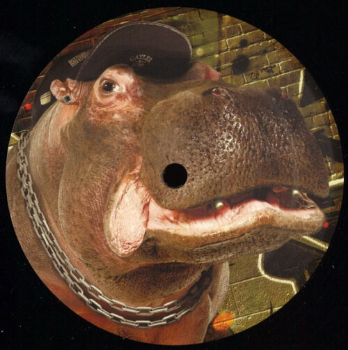 iO (12) - Module EP (12", EP)