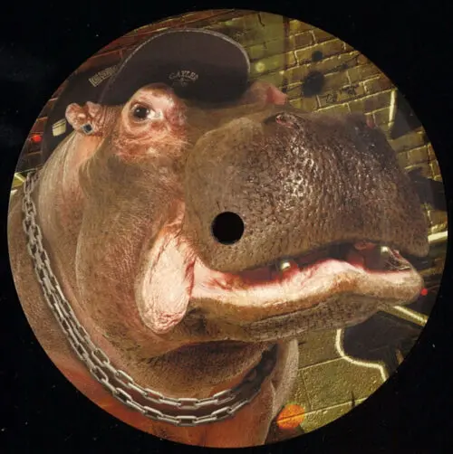 iO (12) - Module EP (12", EP)