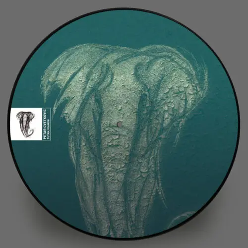 Petar Cvetkovic - Tutanj Kamon (12", S/Sided, Ltd)