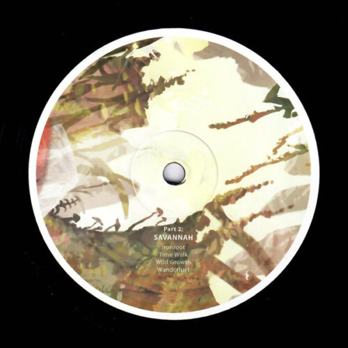 Birds Ov Paradise - Part 2: Savannah (12", 180)