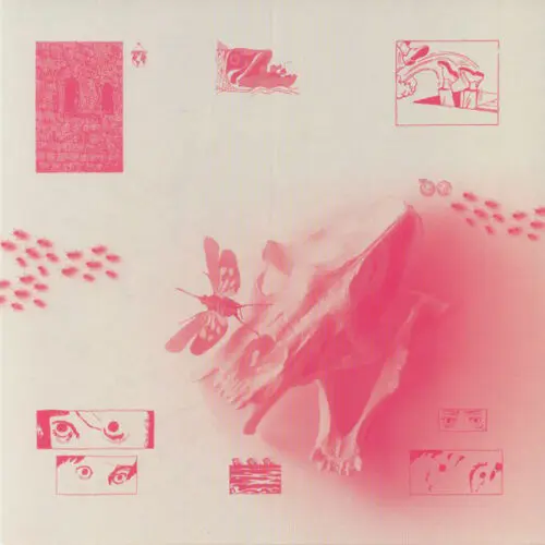 Lixo (2) - Cicada (12")