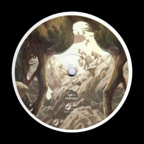 Birds Ov Paradise - Part 3: Plateau (12", 180)