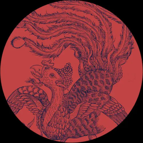 RoaЯ Feat. Yaroslav Lenzyak - Logical Sequences EP  (12", EP)