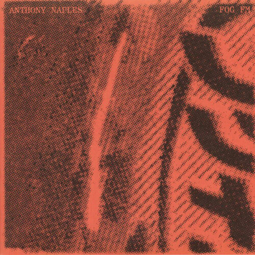 Anthony Naples - Fog FM  (2xLP, Album)
