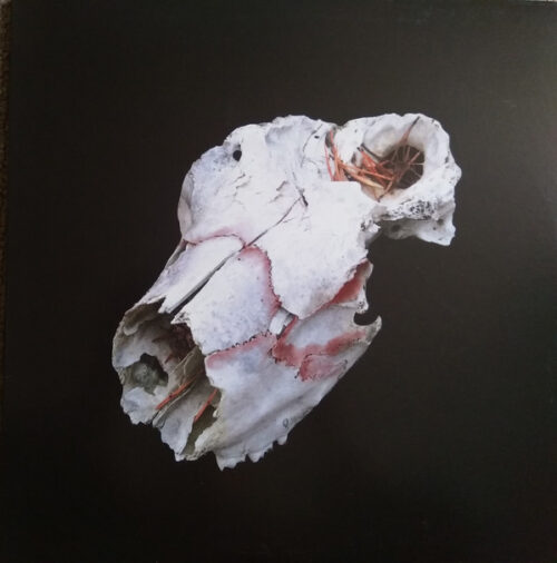 Vladislav Delay - Untitled - Circa 2014 (LP, Album)