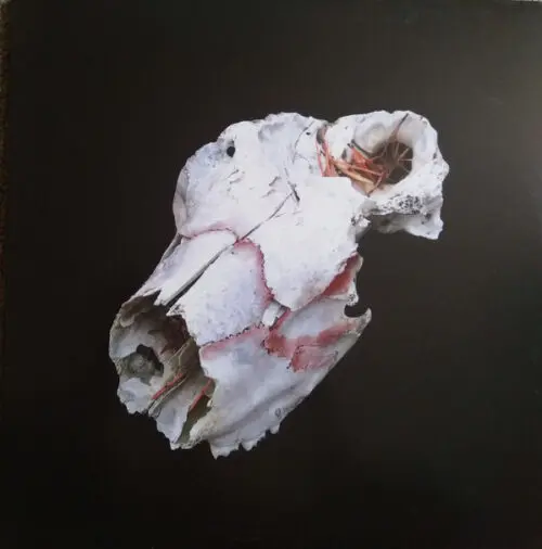 Vladislav Delay - Untitled - Circa 2014 (LP, Album)