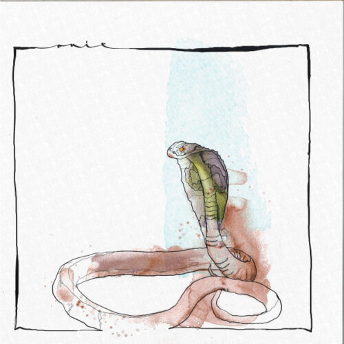 David Mayer - Skanda EP (12", EP)