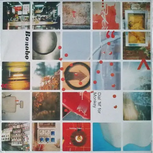 Bonobo - Dial 'M' For Monkey (2xLP, Album)