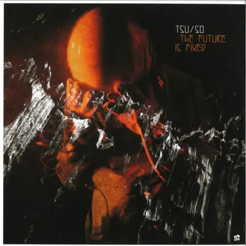 Various - The Future is Fixed (2x12")