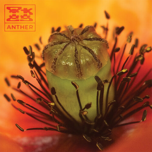 album-art