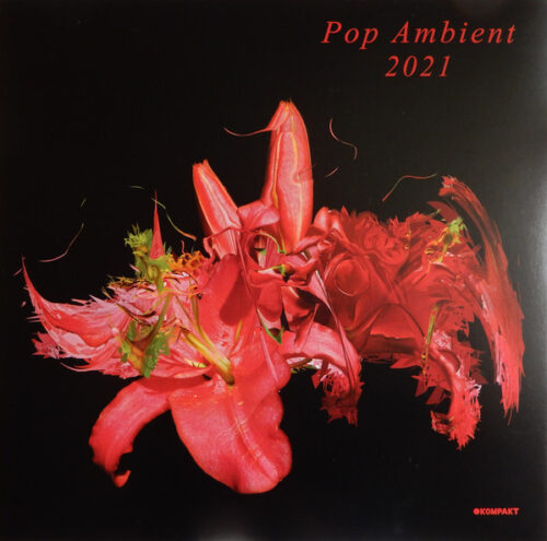 Various - Pop Ambient 2021 (LP, Comp)