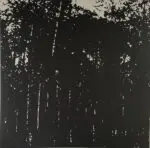 18496738 01109604610bd1f95502e610bd1f95502f1628164601610bd1f955035