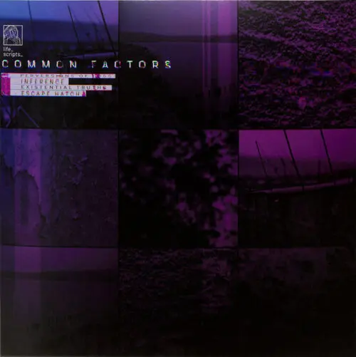 Common Factors - Perversions Of Loss (12")