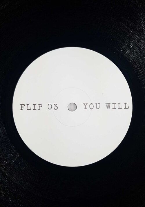Unknown Artist - You Will (12", S/Sided, W/Lbl)