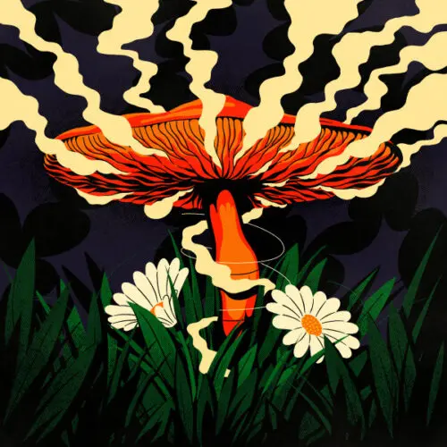 Adam Pits - A Recurring Nature (2x12", Album)