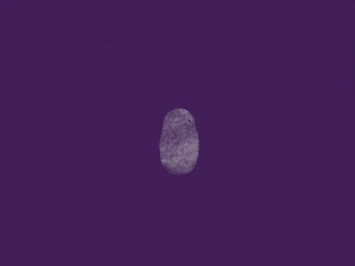 album-art