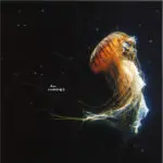 21086050 0799105961feafa438e5c61feafa438e5e164408106061feafa438e60 1