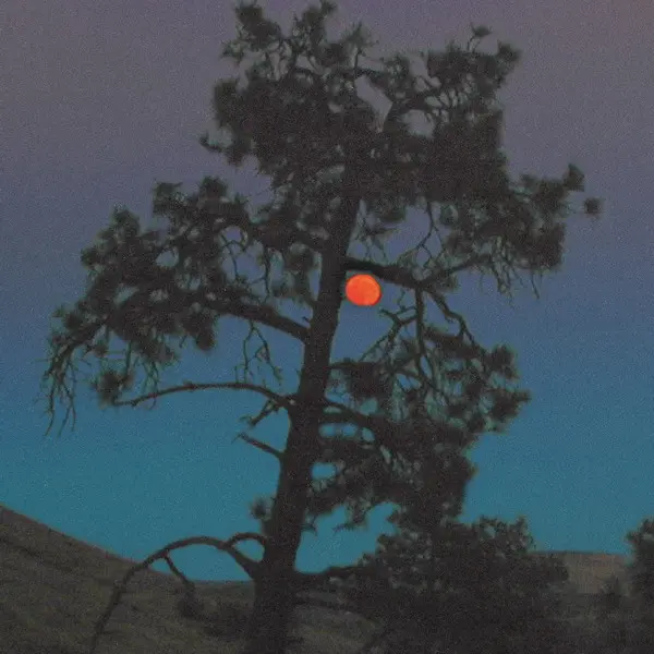 21106699-0521478661e0496181dd861e0496181dda164208880161e0496181ddc-1.jpg 21106699 0521478661e0496181dd861e0496181dda164208880161e0496181ddc 1