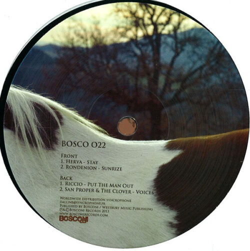 Various - Bosconi Stallions Apacz (12")