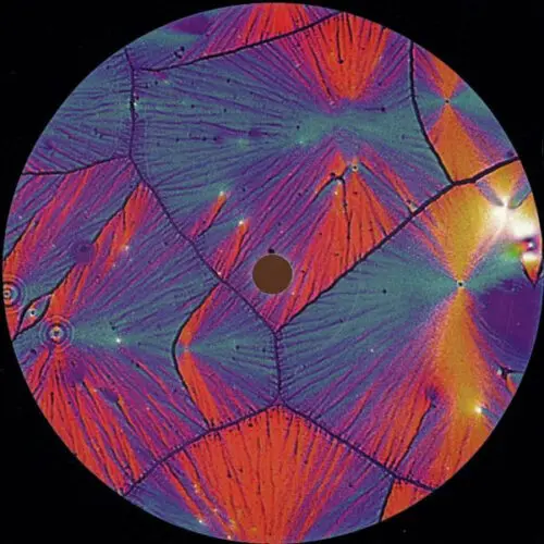 Various - Akplenc (12")