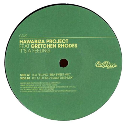 Hawabiza Project Feat Gretchen Rhodes - It's A Feeling (12")