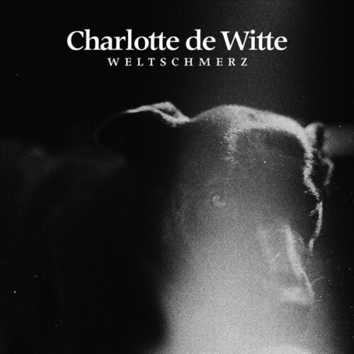 album-art