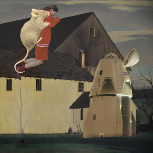 album-art