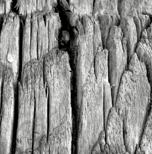 Altitude (2) - Flux EP (12", EP)