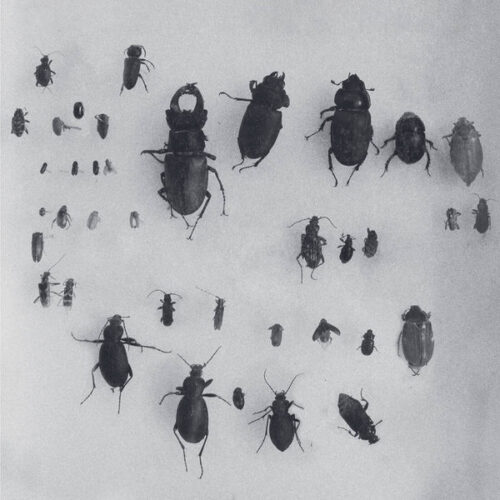 album-art