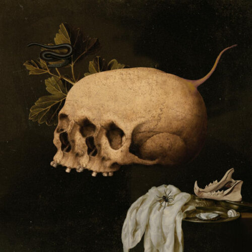 album-art