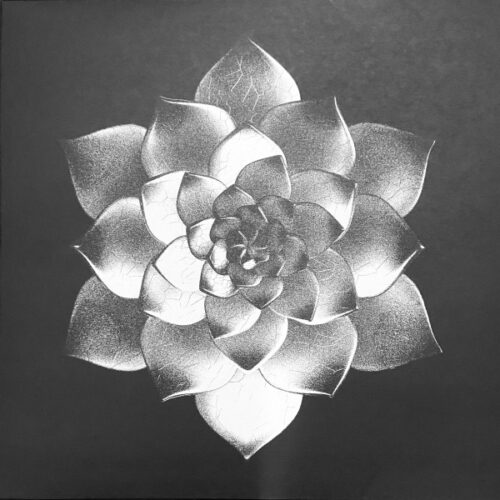 album-art