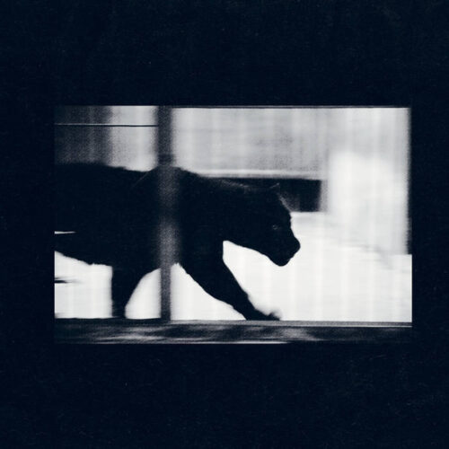 Nørbak - Verdade Absoluta EP  (12", EP)