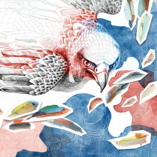 album-art