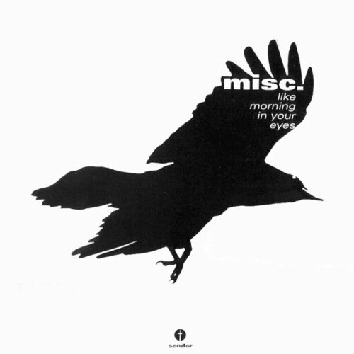 Misc. - Like Morning In Your Eyes (2x12", Album)