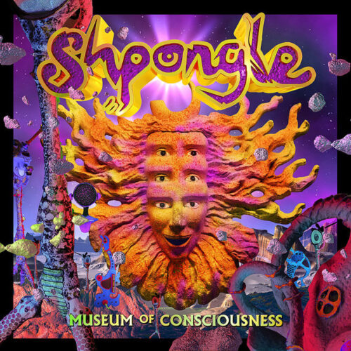 Shpongle - Museum Of Consciousness (2xLP, Album, RE, RM)
