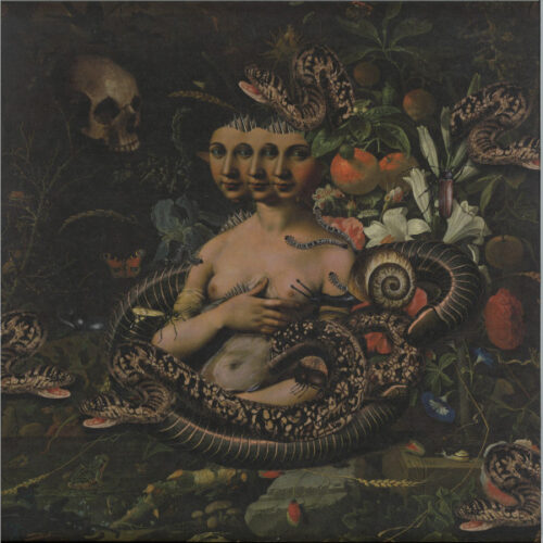 album-art