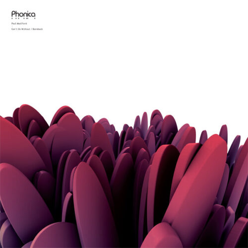 Paul Woolford - Can't Do Without / Bareback (12")