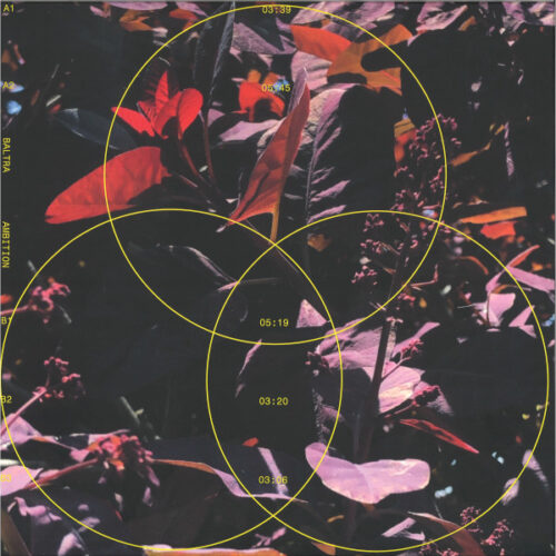 Baltra (2) - Ambition (12", EP)