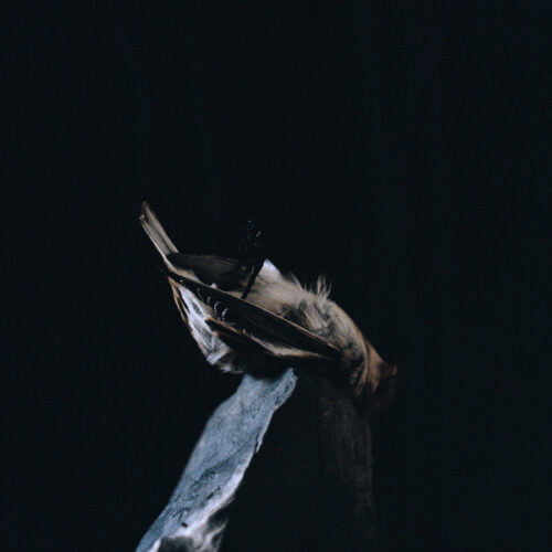 Various - Are We All Alone or Just Overwhelmed? (Collaboration EP) (12", EP)