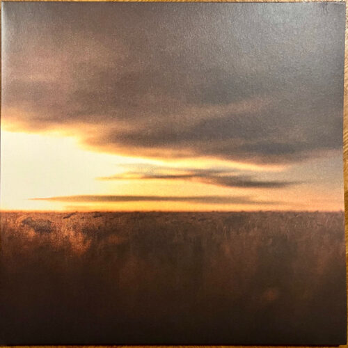 album-art