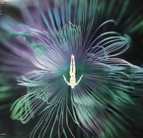 album-art