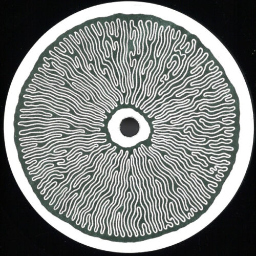album-art
