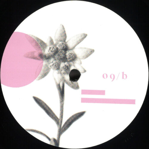 album-art