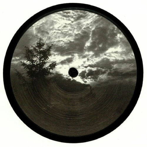 Various - Decennium 1.3 (12", Ltd)