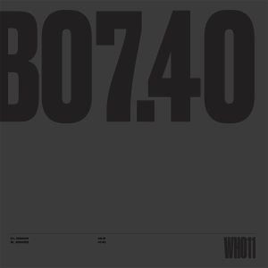 Unknown Artist - WH011 (12", Ltd)