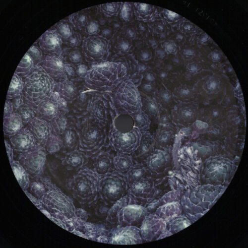 album-art